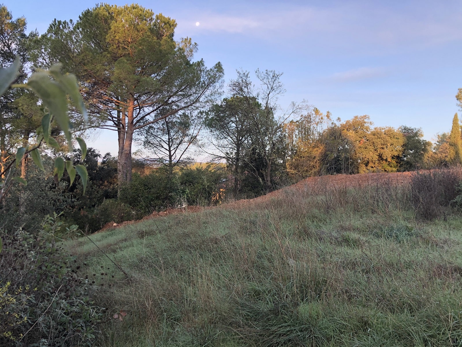 Terrain Constructible sur Montferrier-sur-Lez